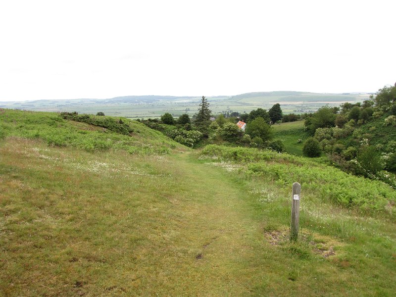 cuthberts way_wooler.jpg - Zondag, een rondwandeling vanuit Wooler. Normaal wandelen we graag van punt A naar punt B, maar door het ontbreken van fatsoenlijk openbaar vervoer moeten we deze etappe van St. Cuthbert's way een beetje aanpassen. Vanuit Wooler gaat de route snel omhoog de heuvels in.